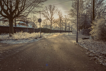 A footpath in winter with frost on the ground and trees