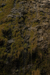 Panoramic scene from waterfallls at bamboo forest in road to hana, Maui, Hawai