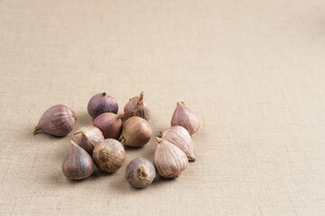 Single clover garlic or pearl garlic or solo garlic (Bawang putih tunggal) variety of Allium sativum. Selective focus image, copy space.
