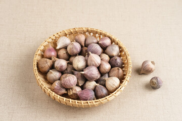 Single clover garlic or pearl garlic or solo garlic (Bawang putih tunggal) variety of Allium sativum. Selective focus image, copy space.

