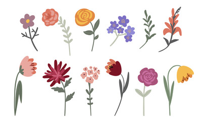 vector set of multicolored garden flowers on a light background