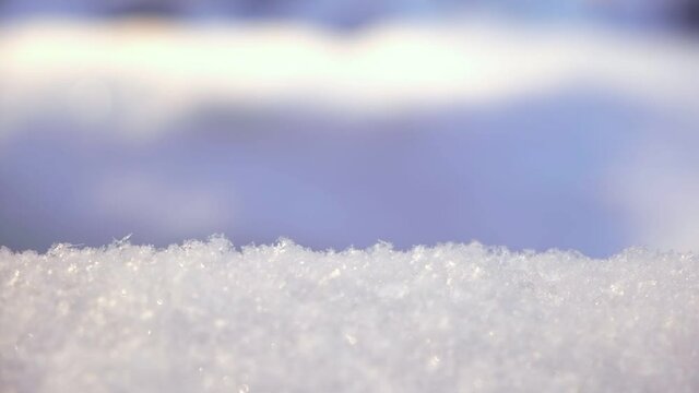 Fluffy snow in winter time. Blurred background. Snow Crystals Close Up. Snow Cover Close-up Background in Sunset Light. Winter Backdrop. Falling snow with copy space. Winter Forest. Very Peri, violet.