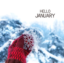 Hello January. hand in mitten holding decorative snowflake, winter natural background. January month calendar concept. symbol of winter festive season
