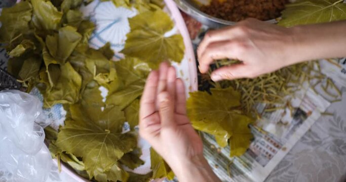 How to Make Homemade Turkish and Greek Traditional Dish Stuffed Grape Leaves with Olive Oil - Stuffing Grape Leaves