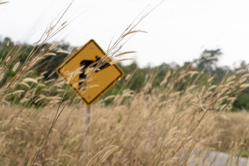 Traffic sign in grass