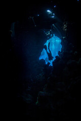 Fototapeta na wymiar Taucher in atemberaubender Unterwasserlandschaft im Roten Meer