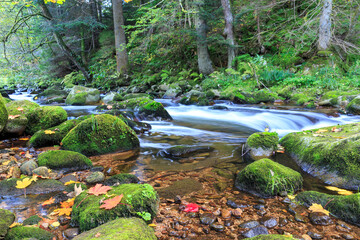 Gutach River near Triberg in the Black Forest, Baden-Wuerttemberg, Germany