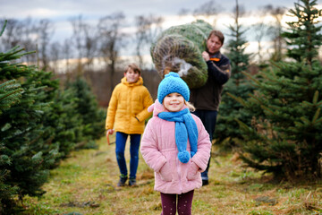 Happy family, man and two children with Christmas tree on fir tree cutting plantation. Preschool...