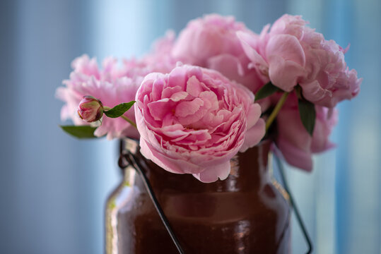 Pink peonies in a jar on table