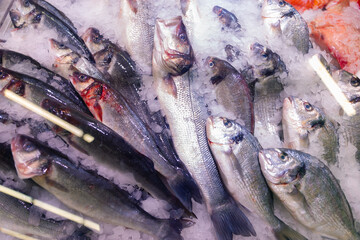 Chilled fish on ice on the counter in the market. Closeup of fishes with ice on table top view