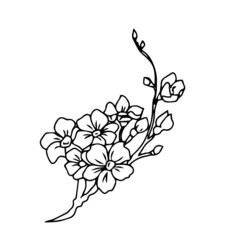 Vector children's design for backgrounds and fabrics, postcards.Sakura,plant,flower,inflorescence