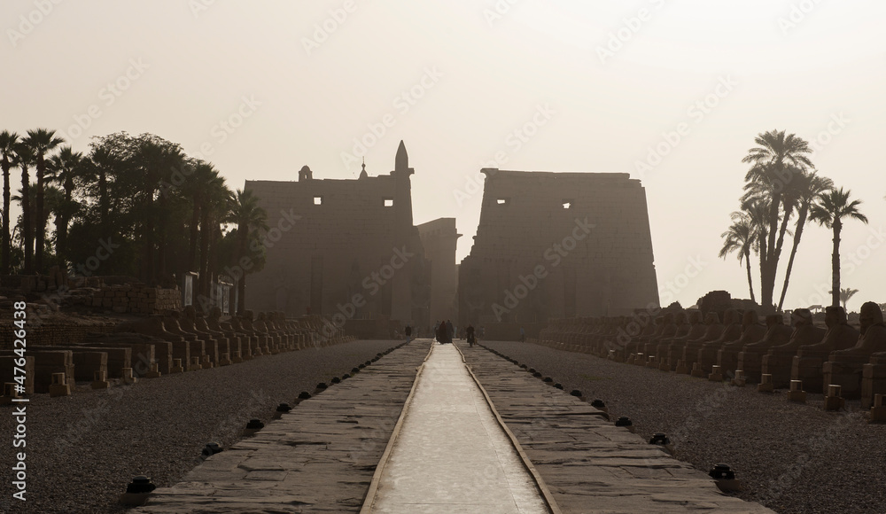 Wall mural Avenue of sphinxes at Luxor Temple leading to entrance