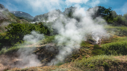 Fototapeta na wymiar Thick smoke and steam rise from the fumaroles . There is green vegetation all around. Mountains against the blue sky. Valley of Geysers. Kamchatka
