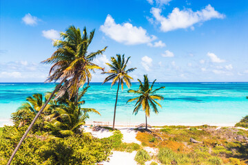 Fototapeta na wymiar beautiful aerial view of an amazing caribbean beach in Punta Cana, Dominican Republic