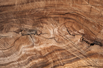 a wood wooden orange texture background