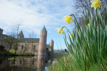 Foto auf Acrylglas Castle in Spring © Lydia