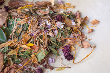 Dry leaves and flowers of indoor plants in natural light.Soft focus. Concept of garbage collection,cleaning, plant care.