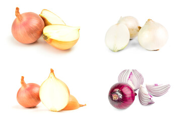 Set of Onion over a white background