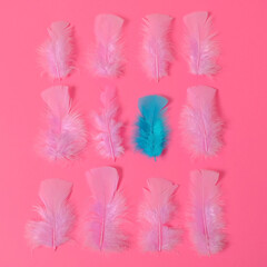 Obraz premium Pink feathers and one turquoise feather on a pink rose background. Equality, diversity concept. Minimal style.
