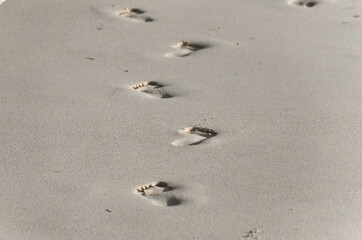 Footmarks on the sandy beach.