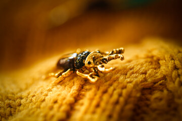 brooch jewelry Insect breaks on a yellow knitted sweater, an inexpensive jewelry jewelry in the...