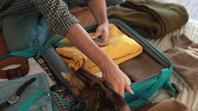 Beardly man getting ready for travel, packing clothes and tablet in a blue suitcase and petting cat. the most necessary things before the trip. Concept of traveling, adventure. 4k footage