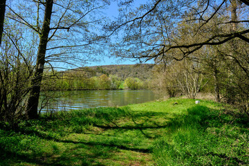 Landschaft am Main bei Retzbach, Landkreis Main-Spessart, Unterfranken, Bayern, Deutschland