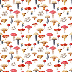 Watercolor seamless pattern with wild mushrooms