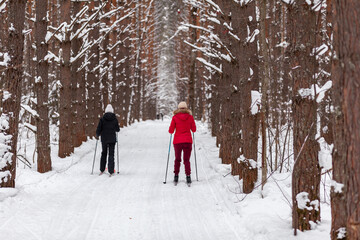 Fototapeta na wymiar Two girls in a black and red jacket are skiing in winter in a snow-covered forest on a ski trail. Trees in a row.. Rear view. Skiing in a beautiful snowy forest in the cold. beautiful winter nature