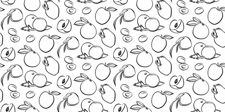 Apple, pear, peach, apricot seamless pattern. Hand drawn stylized endless fruit vector, black graphic illustration texture on white background
