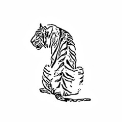 Tiger isolated on a white background. Black and white cartoon illustration