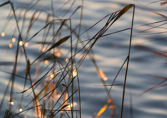 Sunbeams