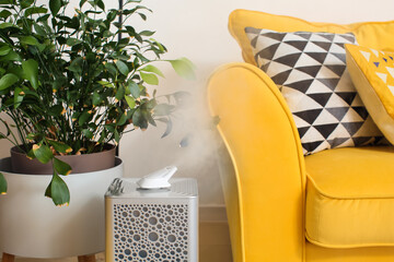 Modern humidifier in living room