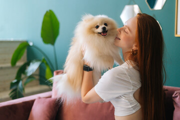 Medium shot of attractive young woman cuddling pretty small white Spitz pet dog at apartment with modern interior. Happy redhead female spending time together with cute little doggy at home.