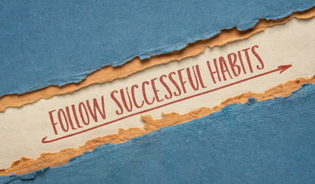 follow successful habits inspirational note - handwriting on a handmade paper, personal development and lifestyle concept