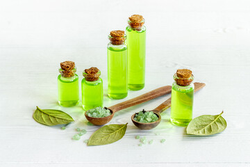 Essential oil of tea tree with fresh green leaves