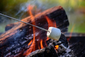 Marshmellow on camp fire