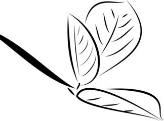 Leaves, black and white vector graphics with the option of adding text.
