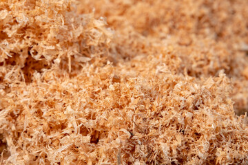 Background Of Are Piece Of Sawdust Raw Texture 