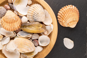 Several sea shells with a wooden tray on a slate stone, close-up, top view.