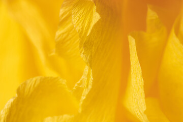 Fototapeta na wymiar Fragment of a yellow flower made of crepe paper. Macro photography. Soft selective focus