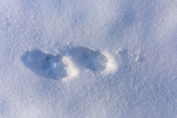 Deep animal or human footprints in snow