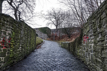 Weg zu einer historischen Burgruine in Arnsberg im Sauerland