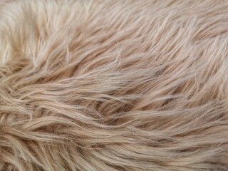 detail of synthetic pile carpet