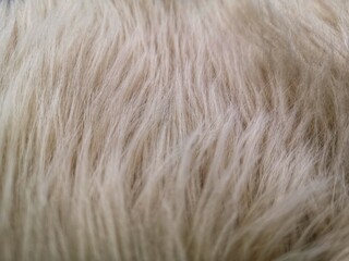 detail of synthetic pile carpet