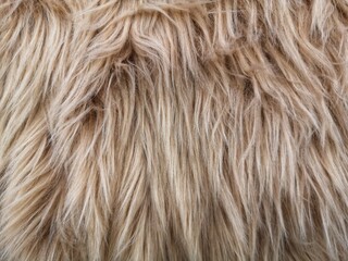 detail of synthetic pile carpet