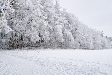 Winterlandschaft, Winterwald