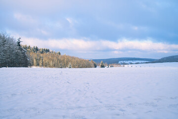 Fototapeta na wymiar Winterlandschaft, Winterwald