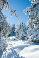 Winter landscape of Vitosha Mountain, Bulgaria