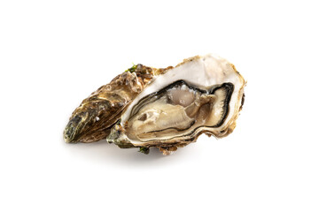 Naklejka premium Opened pacific oyster isolated on a white background, fresh opened pacific oyster isolated on a white background, copy space, selected focus